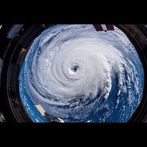 Meet your Posher, Trevor